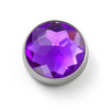 MOGO Charm, MOGO Birthstone February - Amethyst Charm, MOGO Charms- Caitlin's Crafty Creations